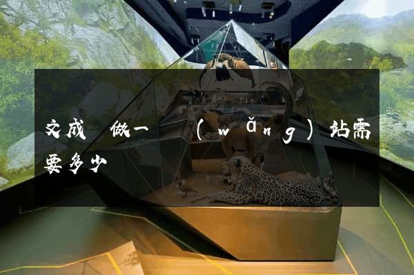 文成縣做一個網(wǎng)站需要多少錢