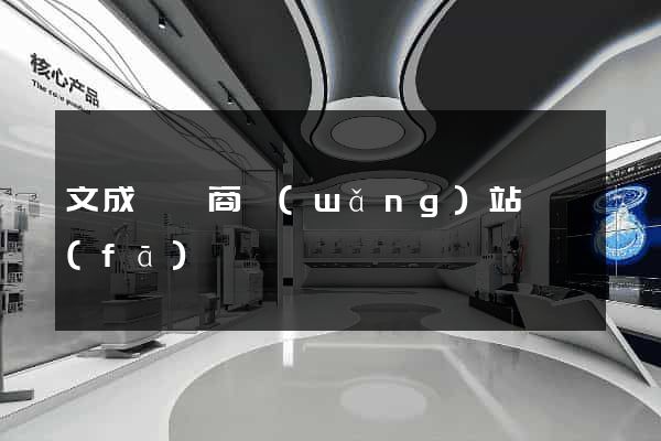 文成縣電商網(wǎng)站開發(fā)