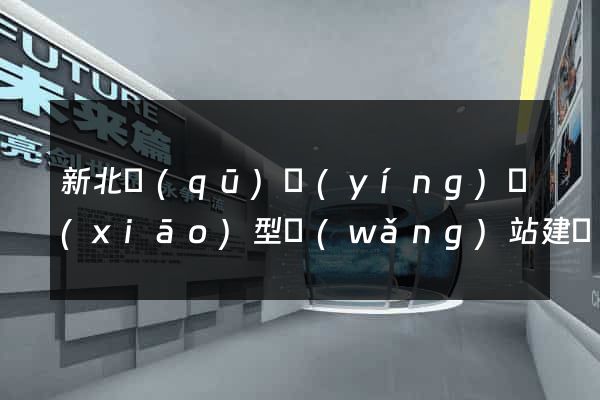 新北區(qū)營(yíng)銷(xiāo)型網(wǎng)站建設(shè)