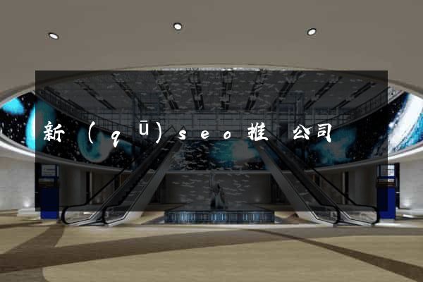 新區(qū)seo推廣公司