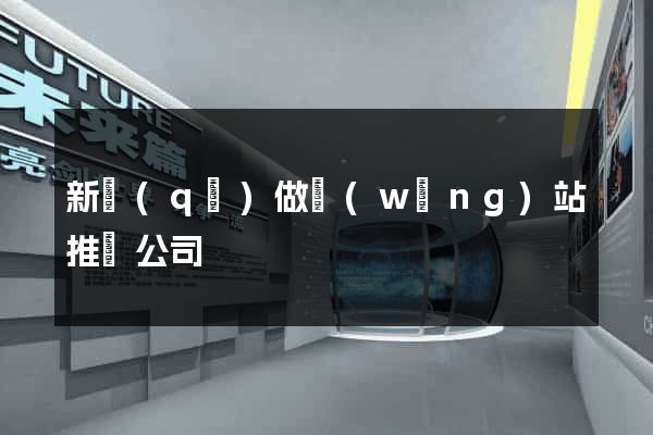 新區(qū)做網(wǎng)站推廣公司