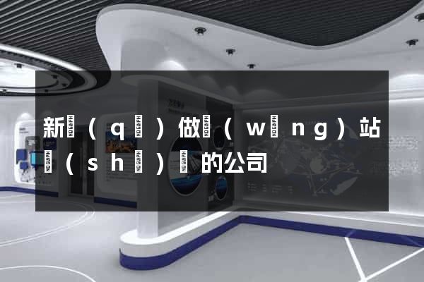 新區(qū)做網(wǎng)站設(shè)計的公司