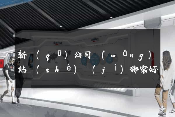 新區(qū)公司網(wǎng)站設(shè)計(jì)哪家好