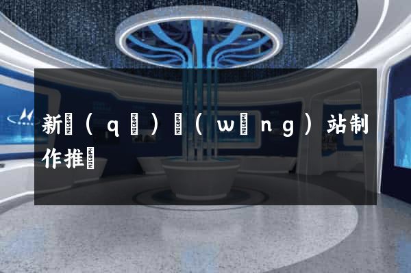 新區(qū)網(wǎng)站制作推廣