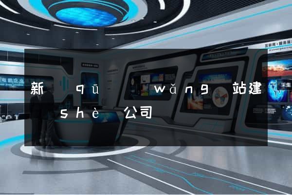 新區(qū)網(wǎng)站建設(shè)公司