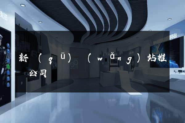 新區(qū)網(wǎng)站推廣公司
