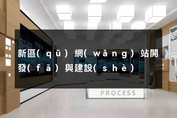 新區(qū)網(wǎng)站開發(fā)與建設(shè)