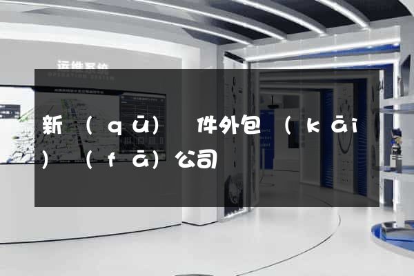 新區(qū)軟件外包開(kāi)發(fā)公司