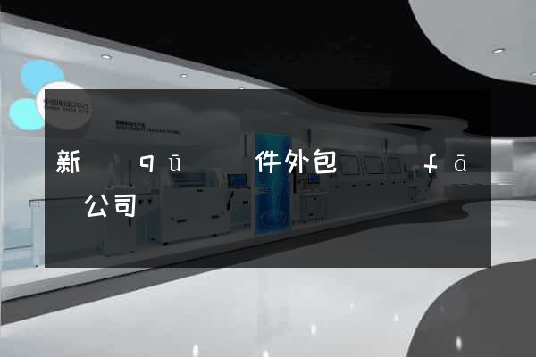 新區(qū)軟件外包開發(fā)公司
