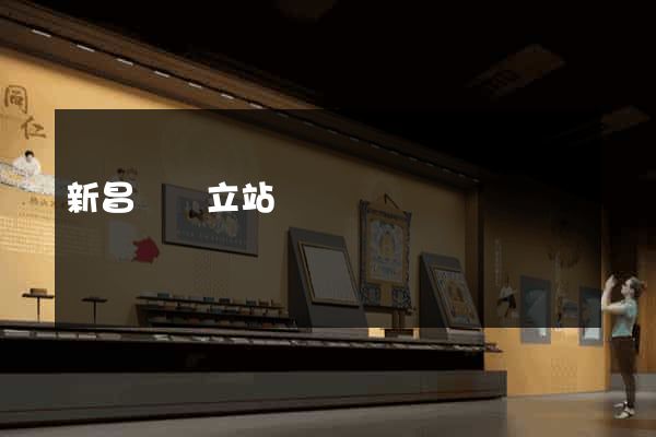 新昌縣獨立站運營
