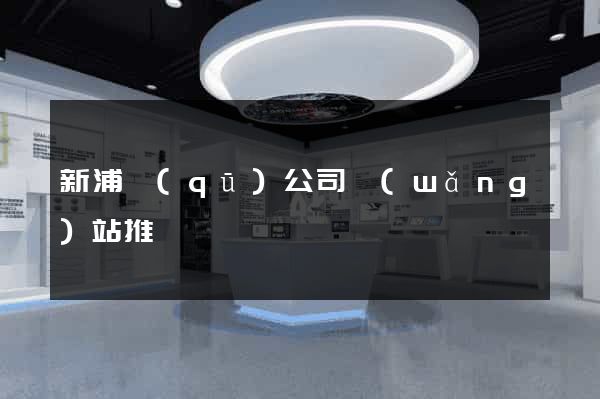 新浦區(qū)公司網(wǎng)站推廣