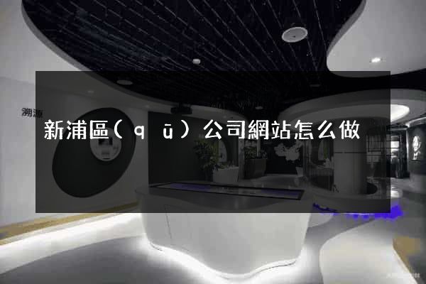 新浦區(qū)公司網站怎么做