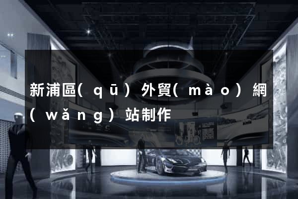 新浦區(qū)外貿(mào)網(wǎng)站制作