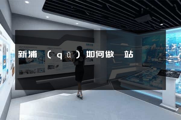 新浦區(qū)如何做網站