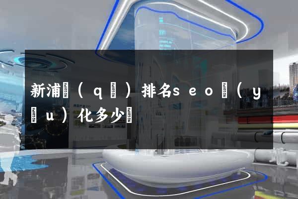 新浦區(qū)排名seo優(yōu)化多少錢