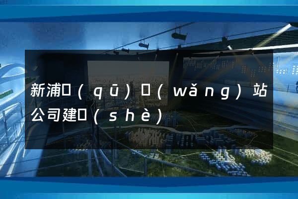 新浦區(qū)網(wǎng)站公司建設(shè)