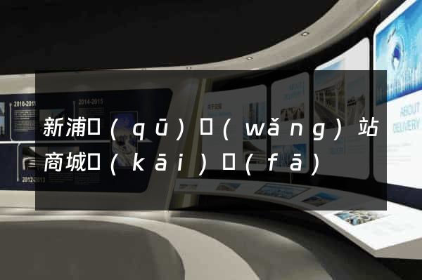 新浦區(qū)網(wǎng)站商城開(kāi)發(fā)