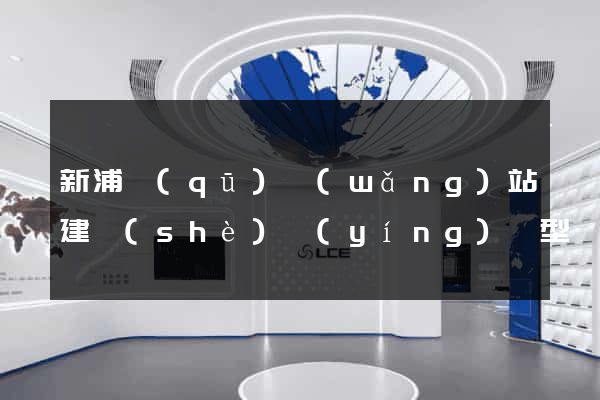 新浦區(qū)網(wǎng)站建設(shè)營(yíng)銷型