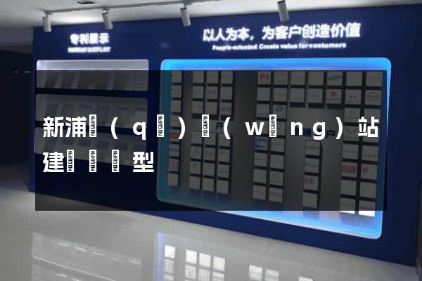 新浦區(qū)網(wǎng)站建設營銷型