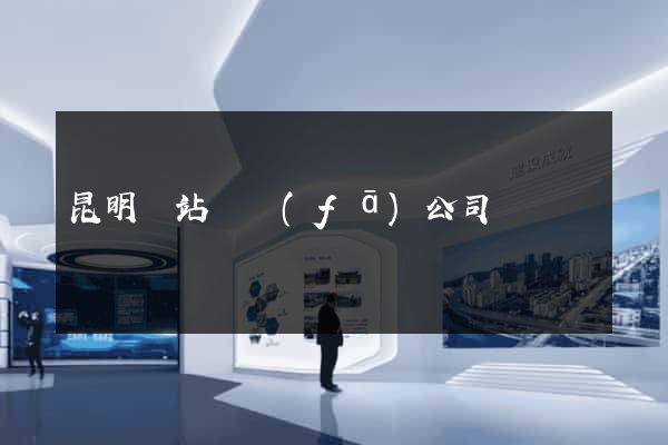 昆明網站開發(fā)公司