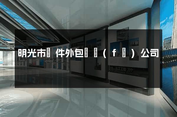 明光市軟件外包開發(fā)公司