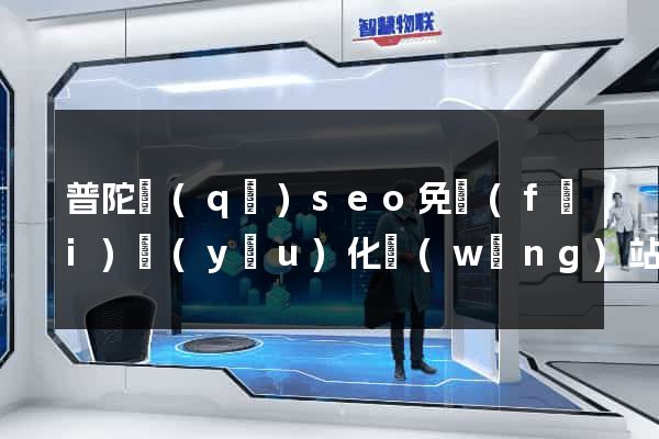 普陀區(qū)seo免費(fèi)優(yōu)化網(wǎng)站