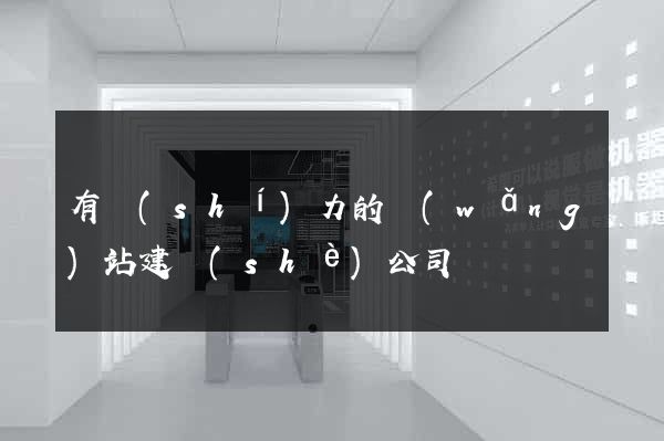 有實(shí)力的網(wǎng)站建設(shè)公司
