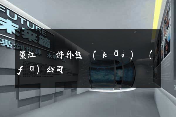 望江縣軟件外包開(kāi)發(fā)公司