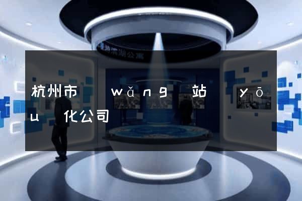 杭州市網(wǎng)站優(yōu)化公司