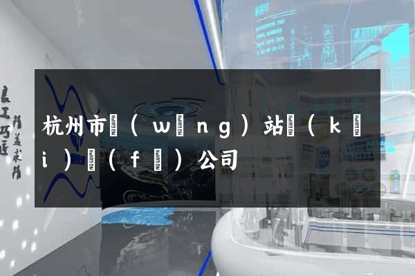 杭州市網(wǎng)站開(kāi)發(fā)公司