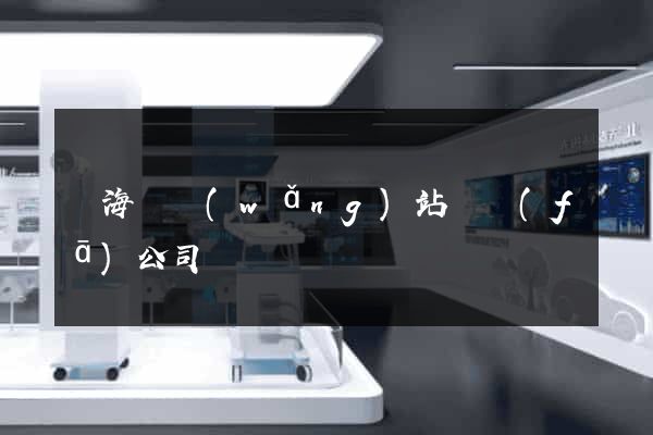 東?？h網(wǎng)站開發(fā)公司