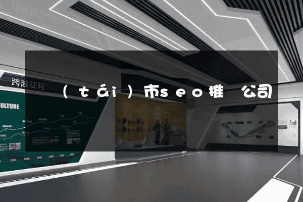 東臺(tái)市seo推廣公司