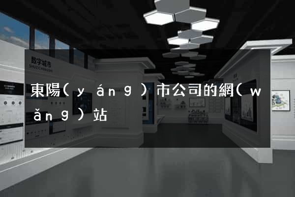 東陽(yáng)市公司的網(wǎng)站