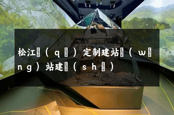 松江區(qū)定制建站網(wǎng)站建設(shè)