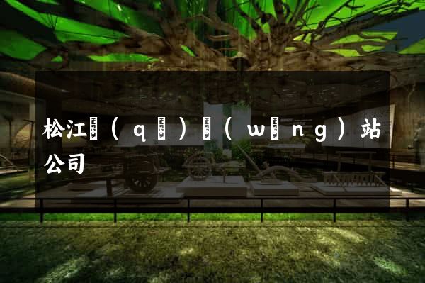 松江區(qū)網(wǎng)站公司