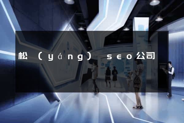 松陽(yáng)縣seo公司