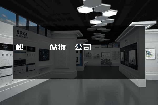 松陽縣網站推廣公司
