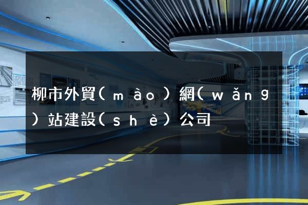 柳市外貿(mào)網(wǎng)站建設(shè)公司