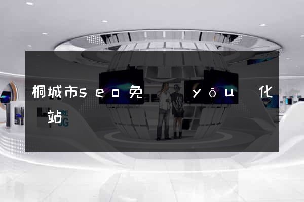 桐城市seo免費優(yōu)化網站