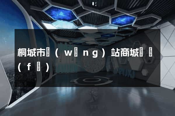 桐城市網(wǎng)站商城開發(fā)