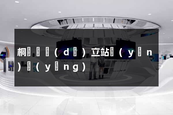 桐廬縣獨(dú)立站運(yùn)營(yíng)