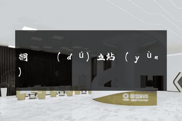 桐廬縣獨(dú)立站運(yùn)營