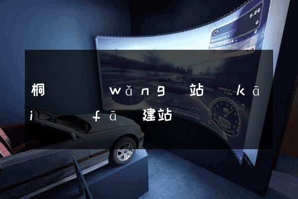 桐廬縣網(wǎng)站開(kāi)發(fā)建站