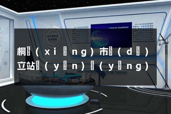 桐鄉(xiāng)市獨(dú)立站運(yùn)營(yíng)