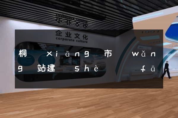 桐鄉(xiāng)市網(wǎng)站建設(shè)開發(fā)
