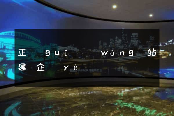 正規(guī)網(wǎng)站建設企業(yè)