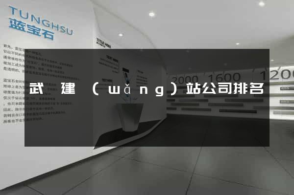 武漢建網(wǎng)站公司排名