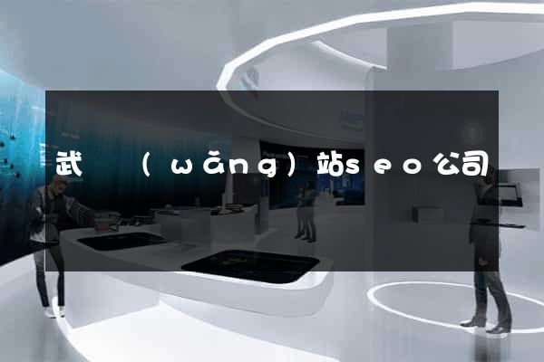 武漢網(wǎng)站seo公司