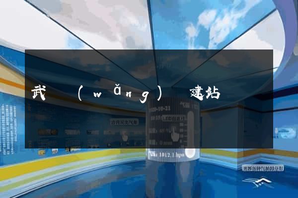 武漢網(wǎng)絡建站