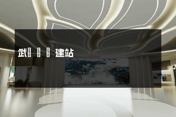 武漢網絡建站